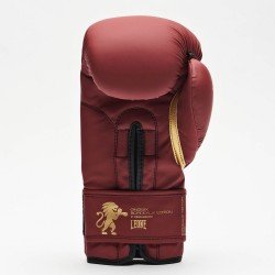 Guantes de Boxeo BORDEAUX